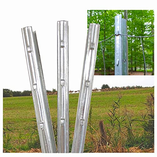 TRUTZHOLM® Z-Profil Zaunpfosten 2,15 m 20x verzinkt hochwertige Zaunpfähle inkl. Haken | Metallzaunpfosten für Wildzaun Weidezaun Drahtzaun Wildschutzzaun Knotengeflecht Zaun Forstprofil Forstzaun