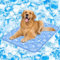 Rywell Kühlmatte für Hunde - Upgarde Entfärbung Waschbar Selbstkühlend Kälte 80×110cm kühlmatte Hund - rutschfest Weich Wasserabsorbierend Geruchlos kühldecke Hund für große Hunde Sommer - XL -Blau