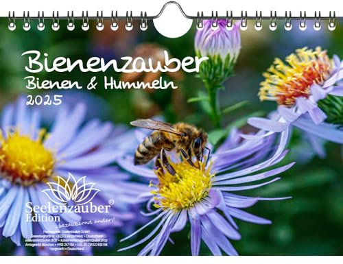Bienenzauber Bienen und Hummeln DIN A5 Wandkalender für 2025 - Seelenzauber