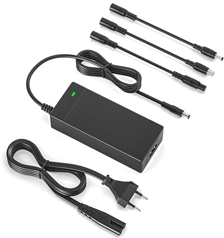 Chargeur Trottinette Electrique pour Xiaomi, 42V 2A Chargeur Hoverboard 36V Trottinette Batterie avec 4 Connecteurs pour Xiaomi M365, Pro, Pro 2, Swagtron, Jetson, Razor, Segway Ninebot ES1 ES2 ES4