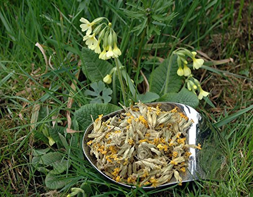 Naturix24 Té de flores en forma de llave, 1 kg