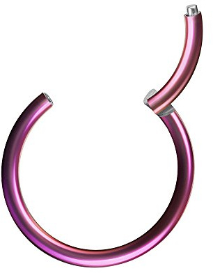 Piercingfaktor Universal Piercing Segmentring Scharnier Clicker Segment Ring Septum Tragus Helix Ohr Nase Lippe Brust Intim Lila 1.2mm x 10mm