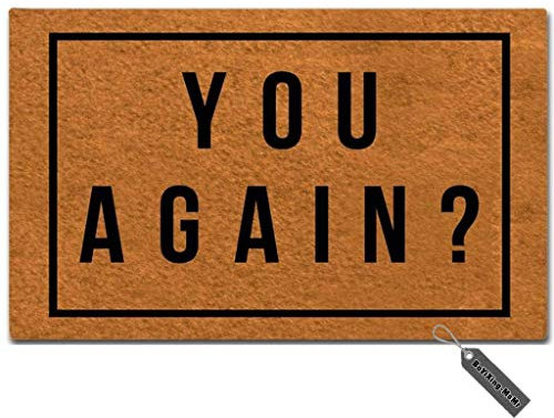 MsMr Fußmatte für den Eingangsbereich, lustige Fußmatte mit englischsprachiger Aufschrift - „You Again“, dekorative Fußmatte aus Vliesstoff, 45,7 cm x 76,2 cm
