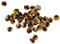Rico Design Made by Me Acid Leo Pompons / Plüschbälle 25 mm - 40 Stück Braun-Schwarz - Pompons zum Basteln & dekorieren - DIY