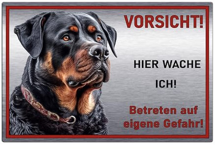 Schild Hundeschild Vorsicht Hier wache ich - Betreten auf eigene Gefahr! Achtung - Warnschild Silber gebürstet - Warnung vor dem Hund - Rottweiler M1 (Silber, 30x20 cm)