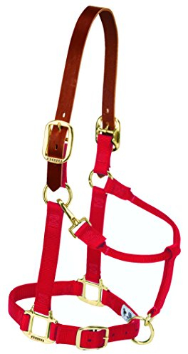 Weaver Leather Verstellbares Pferdehalfter aus Nylon.