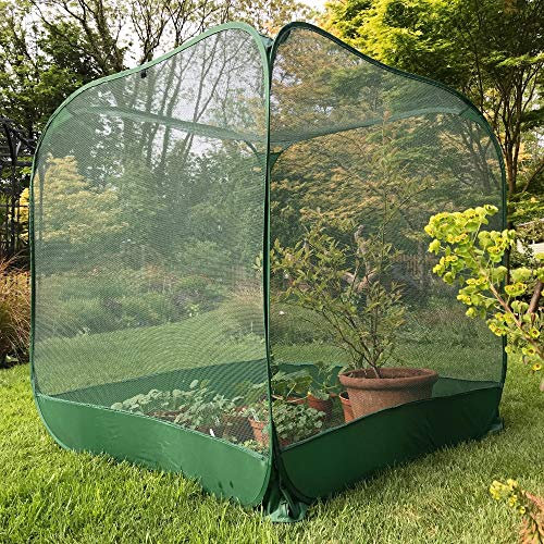 GardenSkill Pop Up Fruit Cage & Brassica Grow-House | Bird & Butterfly Mesh Plant Protection Cover - 1.25m x 1.35m high