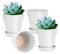 vensovo 15CM White Terracotta & Clay Pots for Plant with Saucer - 4 Pack Medium Terra Cotta Planter with Drainage Hole, Flowerpot for Indoor Outdoor Plants, Crafts, Wedding Favor