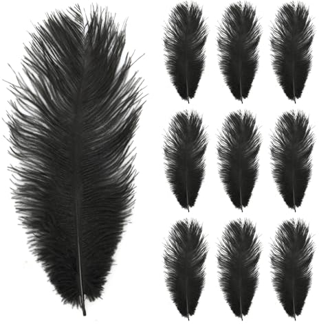 Wisebom 10 Stück Straußenfedern, 10-12inch (25-30cm) Natürliche Straußenfedern Strauß Feder zum Basteln für DIY Traumfänger Zubehör Heimdekoration KostüMe Tischdeko Hochzeit Party Fest (Schwarz)