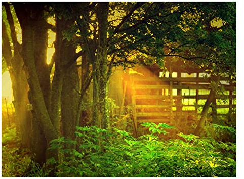 Viplili Diamant-Malerei-Set für Erwachsene, Holzhaus, Wald, DIY, rund, bestickt, Strass, Künstler, Heimdekoration, geeignet für Dekompression von Erwachsenen, 40,6 x 50,8 cm