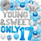Sursurprise 17. Geburtstag Dekorationen für Mädchen, junge und süße nur 17 Ballon Girlande Bogen Kit Blau Silber, Dancing Queen 17 Party Supplies