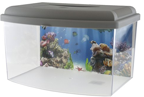 Georplast Acquario con Coperchio 5,5 Litri, Colori assortiti, 1 Unit
