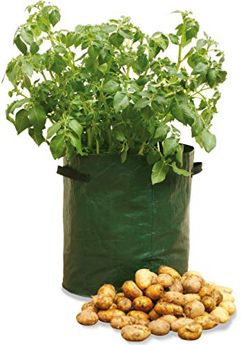 Haxnicks 3 x Potato Patio Garden Planters | Reusable Potato Grow Bags | Easy No Dig Potato Growing | Reinforced Handles | Drainage Holes | Small Garden | 3 Pack, Green 35 x 35 x 45 cm | Planter010101