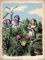 onthewall Kunstdruckposter Alice im Wunderland, Blumengarten, Vintage-Stil, 40 x 30 cm (PDP 076)