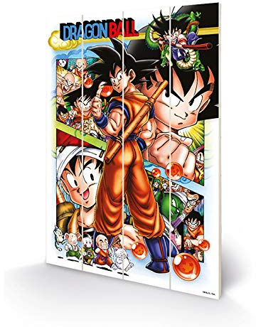 Dragon Ball Z SW12801P Kunstdruck auf Holz, 40 x 59 cm (Comic Strip Panels), Mehrfarbig