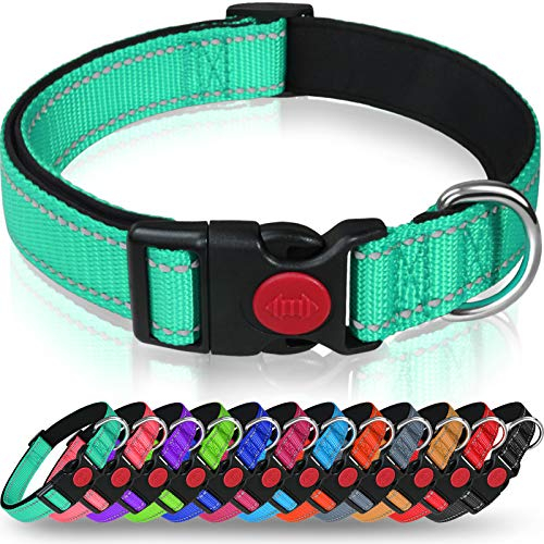 Taglory Hundehalsband, Weich Gepolstertes Neopren Nylon Hunde Halsband für Große Hunde, Verstellbare und Reflektierend für das Training, Türkis