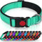Taglory Hundehalsband, Weich Gepolstertes Neopren Nylon Hunde Halsband für Große Hunde, Verstellbare und Reflektierend für das Training, Türkis