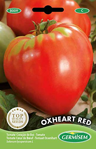 Germisem Oxheart Red Semi di Pomodoro 2 g