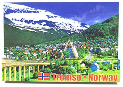 Tromso Nordlichter Polarkreis 3D Holz Souvenir Magnet Norway Norwegen