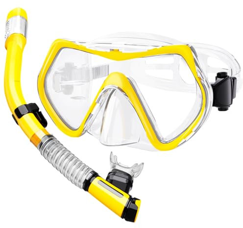 Snorkel Set Adults,Dry-Top Snorkeling Gear,Anti-Fog Tempered Glass Panoramic Mask, Anti-Leak Snorkelling Kit with Carry Bag for Swimming,Scuba Diving & Travel