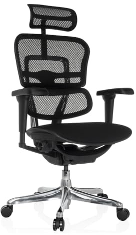 hjh OFFICE Bürostuhl ergonomisch ERGOHUMAN Ultra F GEN2 Originales Design, Bürosessel mit Flexibler Lendenwirbelstütze, Netzbespannung, Schwarz
