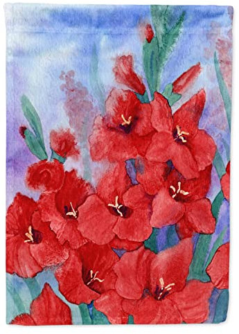 Caroline Tesoros del ibd0250chf Gladiolos Lona casa Bandera, Grande, Multicolor