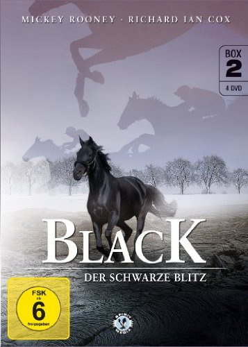 Black - Der schwarze Blitz - Box 2 [4 DVDs]