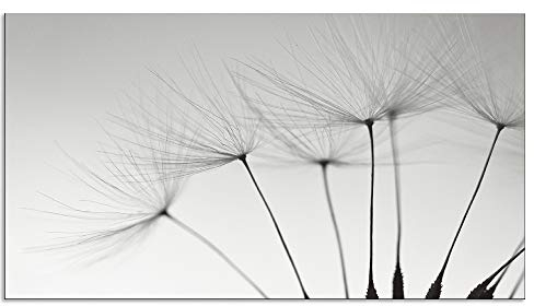 ARTland Spritzschutz Küchenrückwand aus Alu für Küche Herd Spüle 100x55 cm (BxH) mit Motiv Blume Pusteblume Landschaft Natur Zen Modern Hell Grau T5SQ