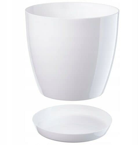 B2C Plant Pot Flower 20 Colours 9 sizes Gloss Plastic Plant Pots Planter Saucer Tray Deco (9.5 cm/ 3.7 inch, White)
