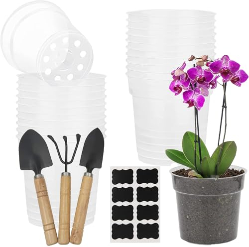 Macetas de Plástico para Orquídeas 20Pcs Maceta Orquidea Transparente con Agujeros de Drenaje Maceta Plastico Transparente para Plantas Flores Maceta de Plántula con Mini Herramientas de Jardinería