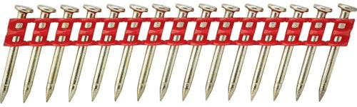 DEWALT DCN8903017 Clavos para Dcn890 - Liga De Metal (xd) (3.0mm X 17mm) for DIYers & Professionals, Made for Repair, Installation and Workshop tasks, 3.0mm, 17mm, 1005-piece Set