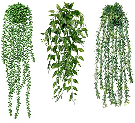 Betylifoy 3 Piezas de Plantas Artificiales Colgantes con Macetas 63 cm de Largo Plantas Artificiales sin Mantenimiento Vid para el Jardín del Hogar Decoración Interior y Exterior (Suculentas)