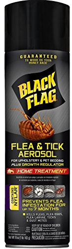 Black Flag Flea & Tick Killer for Upholstery & Pet Bedding Aerosol, 16-Ounce