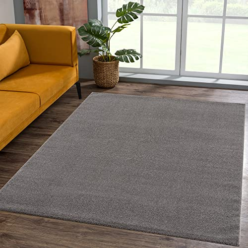 SANAT Kurzflor Teppich Wohnzimmer - Uni Modern Teppiche fürs Schlafzimmer, Arbeitszimmer, Büro, Flur, Kinderzimmer und Küche - Grau, 200 x 290 cm
