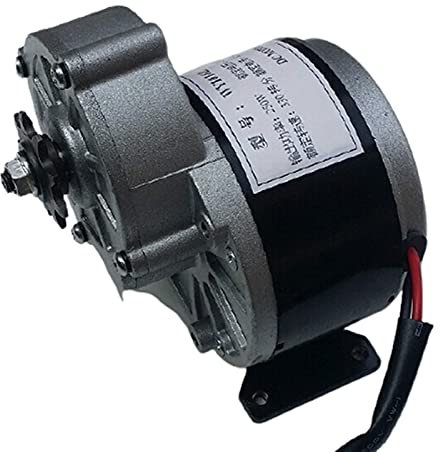 BYCIFRLG Moteur MY1016Z2 Moteur for Fauteuil Roulant, Motoréducteur 24V 250W/350W, Moteur de vélo électrique, Moteur de vélo d'équilibre Mini Precision : 36V 350W (Size : 24V 350W)