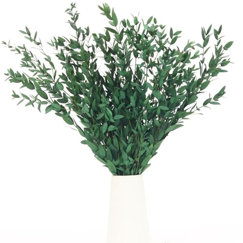 7-12 STK Konservierte Eukalyptuszweige, 45 cm grün für Hochzeit & Vasendeko | etrocknete echte Blätterzweige, natürliches Grün, Vasenfüller, Hochzeitsdeko, Blumenarrangements, Bastelmaterial, langlebig