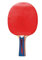 Donic-Schildkröt Unisex – Erwachsene SK TT-Schläger APPLEGREN 600 Tischtennis, Belag, Originalgröße