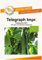BIO-Gurkensamen Telegraph Improved Salatgurke Portion