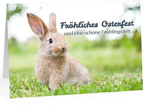 Einladungskarten Manufaktur Hamburg Große XXL (DIN A4) Grußkarte zu Ostern - Osterkarte Osterkarte auf Wiese Frohe Ostern mit passendem Umschlag