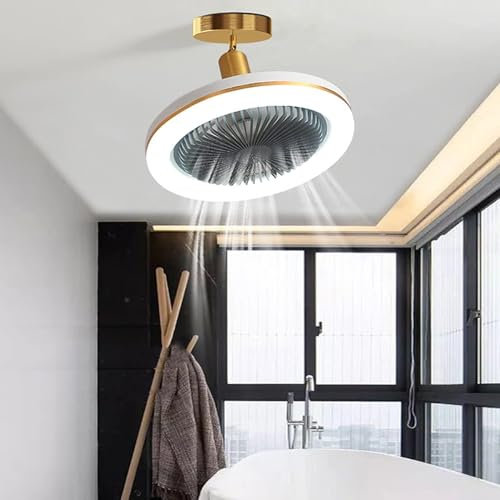 Ds UUby Ventilateur de Plafond Avec Lumière Fermée Mince Ventilateur Lumière 30W LED Lampe Integree et Telecommande E27 Petites Ventilateur de Plafond Eclairage (Gris)