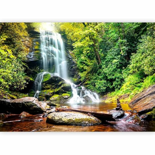 murando - Fototapete Vlies Wasserfall Blumen, Schlafzimmer, Wohnzimmer | Full HD Druck, 3D-Effekt, lichtbeständige Farben, ideal fürs Wohn- oder Schlafzimmer, schnelle Montage, lichtbeständig, edel