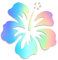 Decus Hawaiianische Blume Hawaiian Hibiscus Flower L 0169 (Oil Slick Hologramm) // Sticker OEM JDM Style Aufkleber