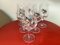 Lot de 6 verres à bière queue de charrue 25cl verre neuf
