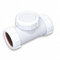 Acquastilla 114640 Valvola Antiritorno con Ispezione, Multicolore