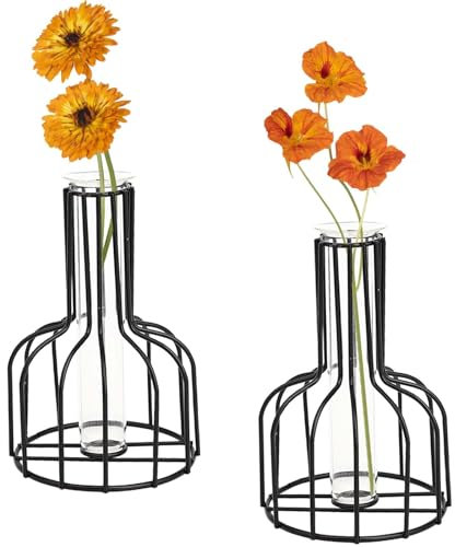 2 Stück Schwarze Blumenvase mit Metallrahmen, klares Glas, Reagenzglas, dekorativ, kleine Knospenvasen, Geschenke für Hochzeitsdekoration, Tischblumendekoration, Innendekoration, Wohnzimmerdekoration