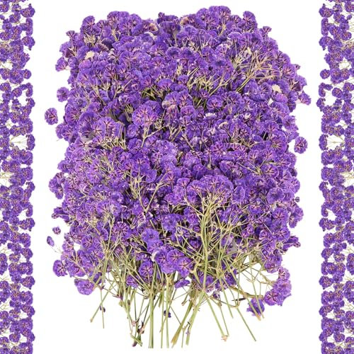 100 Stück Getrocknete Blumen, Klein Baby’s Breath Blumen Echte Natur Trockenblumen für DIY Kerze Harz Schmuck Nagel Kunst Basteln, Mini Blumenstrauß Deko (Lila)