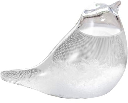 Wetterstationen, Sturmglas Wetter Prädiktor Kristallwetter Vorhersage Flasche Wetterwetter Prognostaster Sturm Glas Sturm Barometer Wetter Glasschild Vogel Dekor Barometer Glas