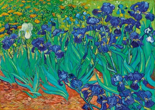 Puzzle Vincent Van Gogh Les Iris 1000 Stück