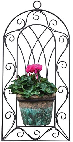 Gardenesque Single Plant Pot Ornate Metal Wall Planter | Wall Planters for Outdoors in Black Metal
