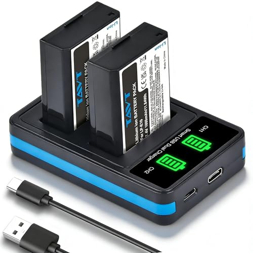 TAVT Lot de 2 batteries LP-E10 1600 mAh avec chargeur pour Canon EOS 1100D 1200D 1300D 1500D 2000D 3000D 4000D Rebel T100 T7 T3 T6 T5